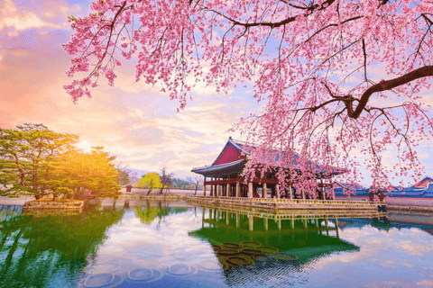 Tradition in Bloom: Discover the Land of the Rising Sun