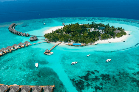 Paradise Perfected: Dive into Maldivian Bliss